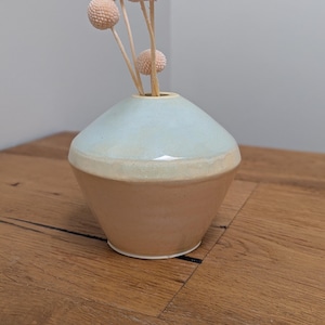 May include: A light blue and beige ceramic vase with a rounded bottom and a flared top. The vase is filled with dried pink flowers.