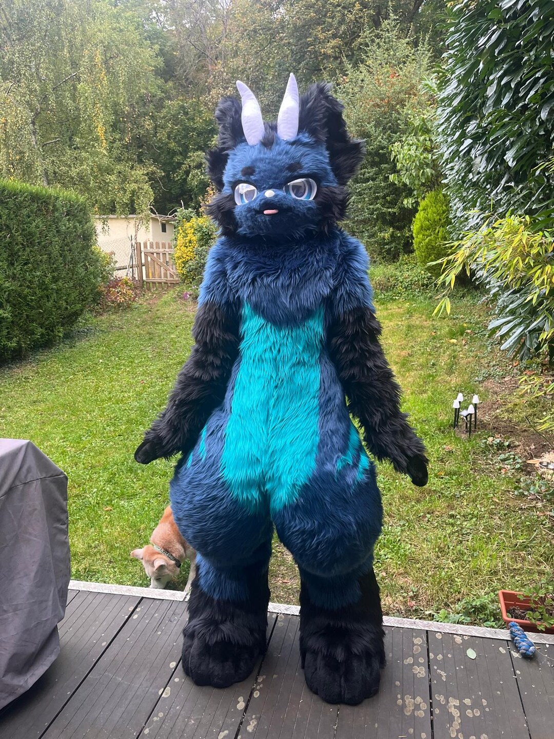 Complete Fursuit / Complete Fursuit - Etsy UK