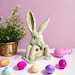 see more listings in the Rabbits section