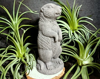 Murmeltier - Stehende Steinfigur für Ihren Garten (Maße: H/B/T 23/10/9 cm, ca. 1,8 kg)
