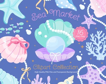 SeaShell Market Design Clipart, Coastal Seashell Illustration PNG, Coastal Summer Sublimation Design, 16 Hand Drawn Seashell Clipart Bundle