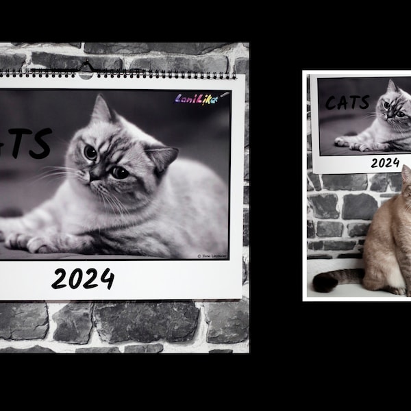 Wandkalender A3 Cats 2024 dekorativer Künstlerkalender mitPortraitaufnahmen unserer Britisch Kurzhaar Katzen schwarz-weißer Fotokalender