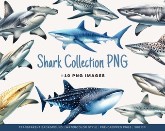 Shark Collection Clipart | Cropped PNG File | Instant Download | Commercial Use