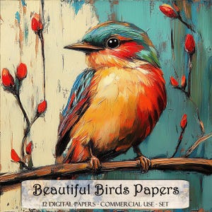Bellissimi fogli di giornale con uccelli, carte digitali, carte stampabili, kit per diario spazzatura, scrapbooking, forniture per album di ritagli, forniture per diario spazzatura