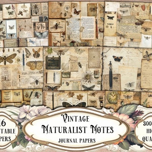 Papiers vintage Naturalist Journal : kit de scrapbooking imprimable (téléchargement numérique)