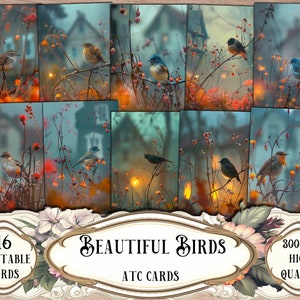 Carte ATC stampabili con bellissimi uccelli, kit diario spazzatura, scrapbooking, forniture per album di ritagli, creazione di carte, effimeri, fogli di collage, creazioni con la carta