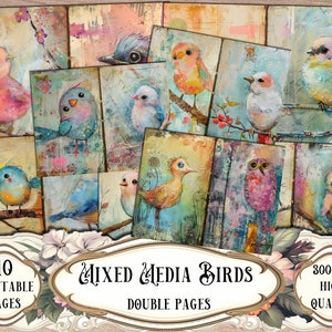 Mixed Media Birds Junk Journal Double Pages: Printable Ephemera (Digital Download)