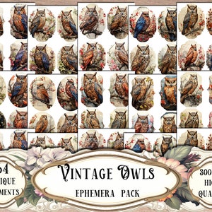Paquete de efímeras de búhos vintage, kit de diario basura, scrapbooking, suministros de álbumes de recortes, suministros de diario basura, hojas de collage, cortes quisquillosos, artesanía