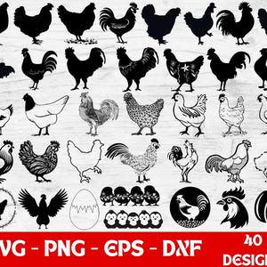 Chicken Png SVG Bundle, Chicken PNG Bundle, Chicken Clipart, Chicken SVG Cut Files Cricut, Chicken Silhouette, Rooster svg, hen svg.