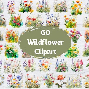 60 Wildflower Clipart, Wildflower Png, Spring Floral, Wildflower Bouquet, Flower Border, Watercolor Flower Clipart,