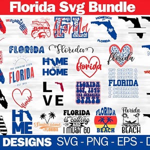 Florida Svg-bundel, Florida Png, Florida Clipart, Florida State Svg, Verenigde Staten Svg, patriottische Svg, populaire Svg, digitale download