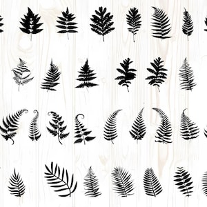 Fern Leaves Svg, Fern Clipart, Boho Svg, Botanical Silhouette, Fern Clipart, Fern Cut Files, Fern Cricut, Tropical Leaves SVG