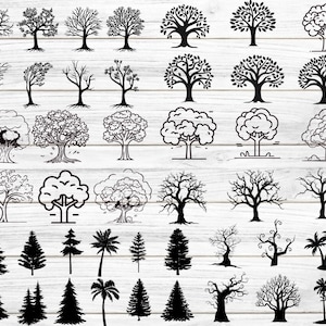 Baum Silhouette svg Bundle, Baum geschnitten Dateien für Cricut, Wald svg, Baum Clipart, schwarzer Baum svg, sofortiger Download