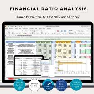 Financial Ratios Analysis Excel Template Liquidity Profitability Efficiency Solvency Calculator Accounting Dashboard Digital Download