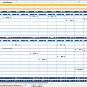 May include: A spreadsheet with a blue and white colour scheme showing a cash flow forecast for 202X. The spreadsheet includes columns for each month of the year and rows for different categories of income and expenses. The spreadsheet shows a starting balance of &pound;74,400.00 and an ending balance of &pound;74,700.00.
