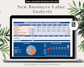 Analysis of a Small Business Value - Discounted Cash Flow Approach with Interactive Dashboard