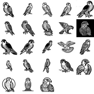 May include: A collection of 36 black and white illustrations of falcons in various poses. The illustrations are in a vintage style and feature intricate details.