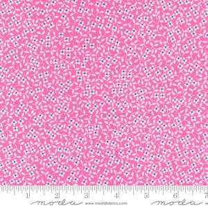 Cali Co Carnation by Corey Yoder 29193 43 Coriander Quilts from Moda