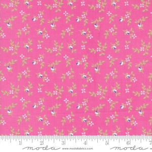 Cali Co Carnation by Corey Yoder 29192 43 Coriander Quilts from Moda