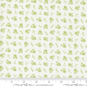 Cali Co Cloud Pistachio by Corey Yoder 29195 17 Coriander Quilts from Moda