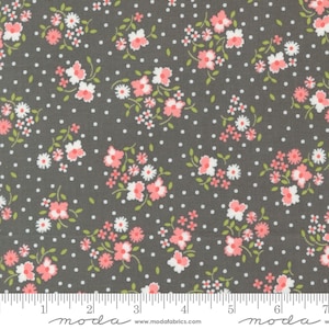 Cali Co Slate by Corey Yoder 29190 24 Coriander Quilts from Moda
