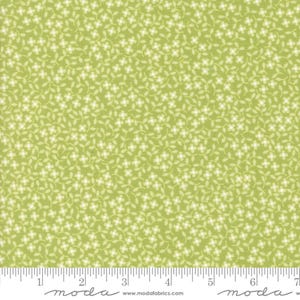 Cali Co Pistachio by Corey Yoder 29193 37 Coriander Quilts from Moda