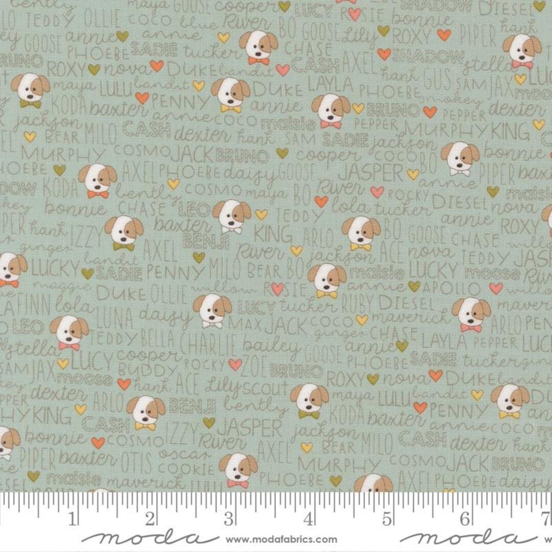 Lucky Buddies Sky 55702 12 Moda Sweetwater - Etsy