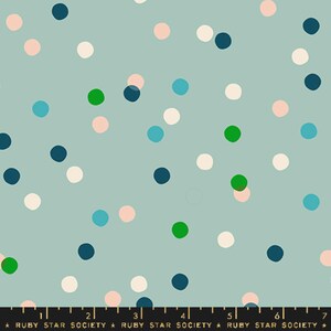 Carousel Iceberg RS0096 14 Ruby Star Society Polka Dot Fabric