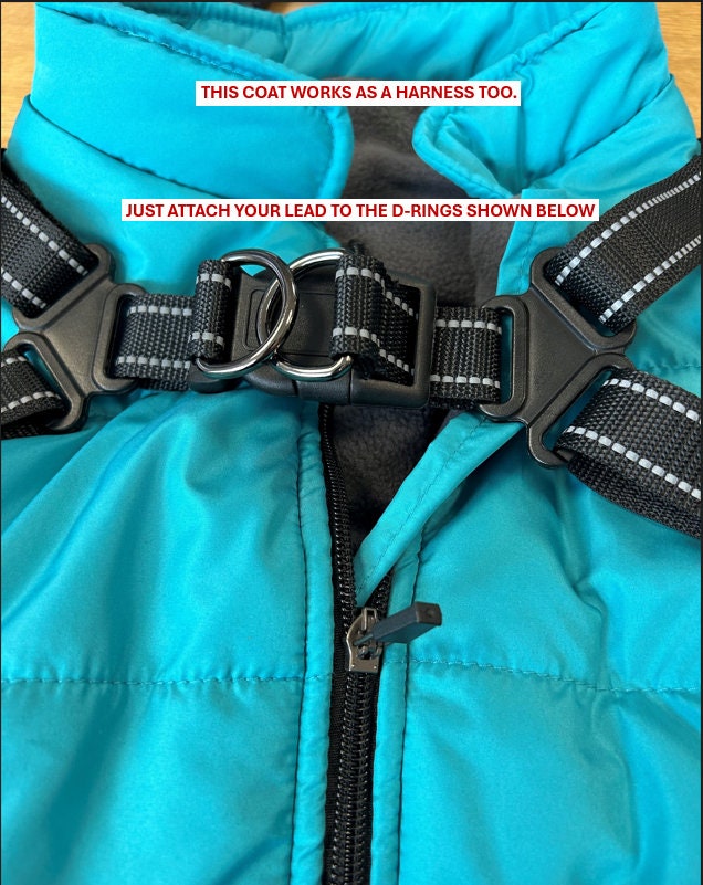 Waterproof Padded Dog Jacket Harness in VARIOUS Colours and Sizes, Warm