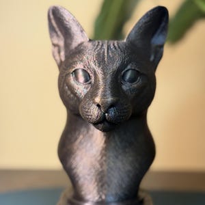 Puede incluir: Busto de gato de color bronce. La cabeza del gato está detallada con ojos grandes, una nariz pequeña y orejas puntiagudas. La escultura se asienta sobre una base rectangular con un aspecto texturizado y envejecido. Este busto de gato es un objeto decorativo.