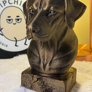 Op de afbeelding: Een bronzen hondenbeeldje met een getextureerde afwerking. De kop van de hond is gedetailleerd, met zichtbare vachttextuur en een lichte glans. Het beeld staat op een vierkante, getextureerde basis. De achtergrond bevat een gele muur en een logo.