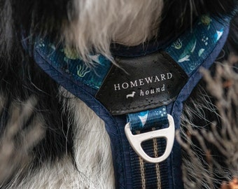 May include: A blue and green patterned dog harness with a black leather tag that reads "Homeward Hound".