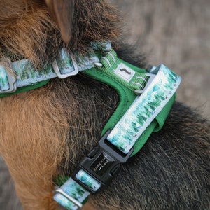 May include: A green and blue patterned dog harness with a black buckle. The buckle has the text "Homeward Bound" on it.