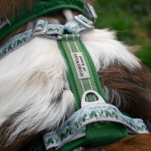 May include: A green dog harness with a white and green patterned strap. The harness has a metal buckle and a label that reads "Homeward Bound".