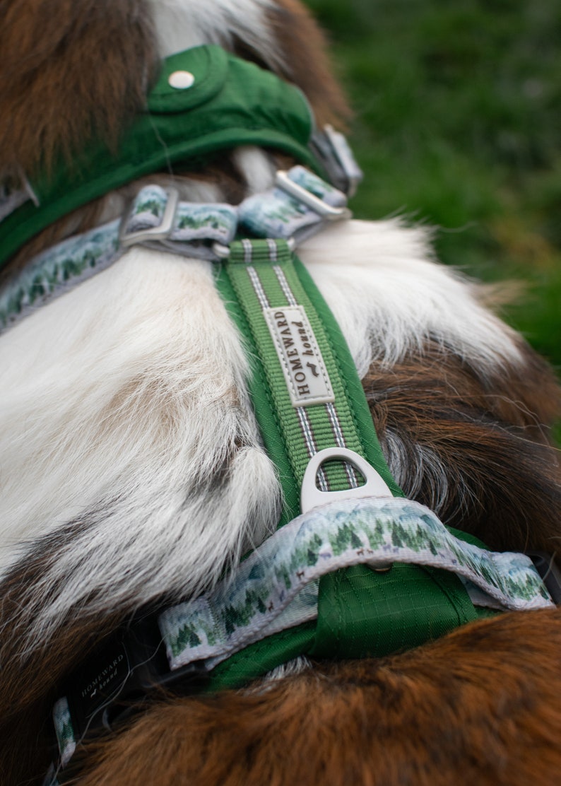 May include: A green dog harness with a white and green patterned strap. The harness has a metal buckle and a label that reads "Homeward Bound".