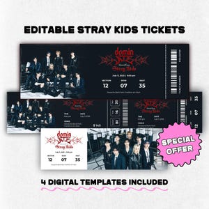 Billet de concert personnalisé Stray Kids DominATE, DominATE World Tour Kpop Merch, Unique SKZ Collectible, SKZ, Stray Kids, Stay, Template