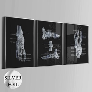Conjunto de 3 pôsteres de anatomia do pé, arte ortopédica, arte médica, presente para ortopedista, presente para podólogo, presente para podólogo, arte de parede para clínica, impressão em folha de prata