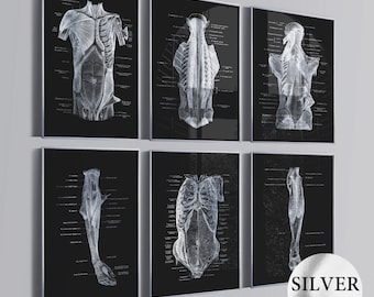 May include: Set of six black and white anatomical illustrations of the human body. Each illustration shows a different part of the body, including the chest, back, arms, legs, and torso. The illustrations are labeled with the names of the muscles and bones.