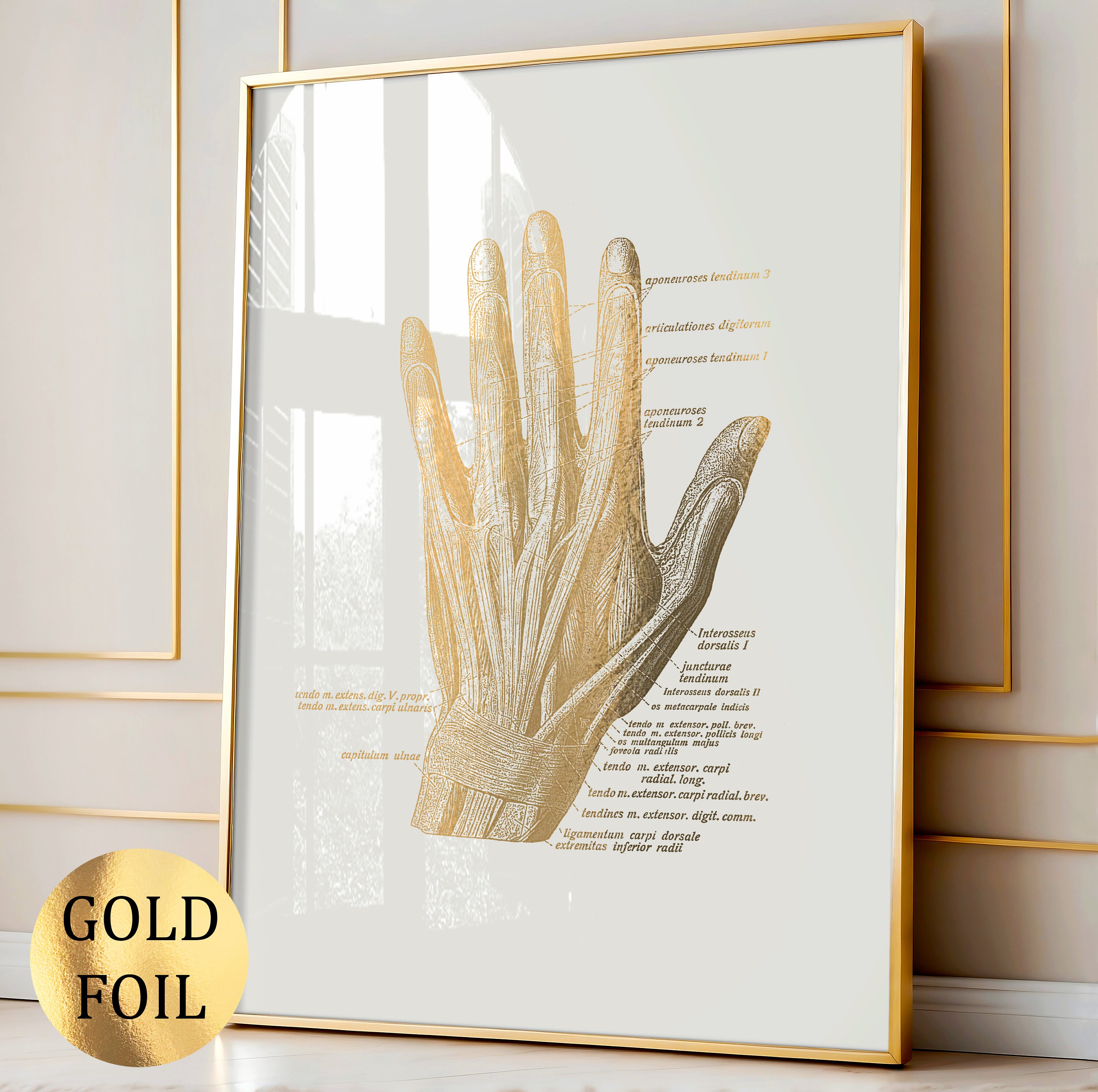 Set 12 Gold Anatomy Art Muscular System Diagram Medical Art Massage ...