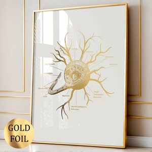3 Gold Neuron Art Brain Anatomy Art Nerve Cell Art Neurology Art ...