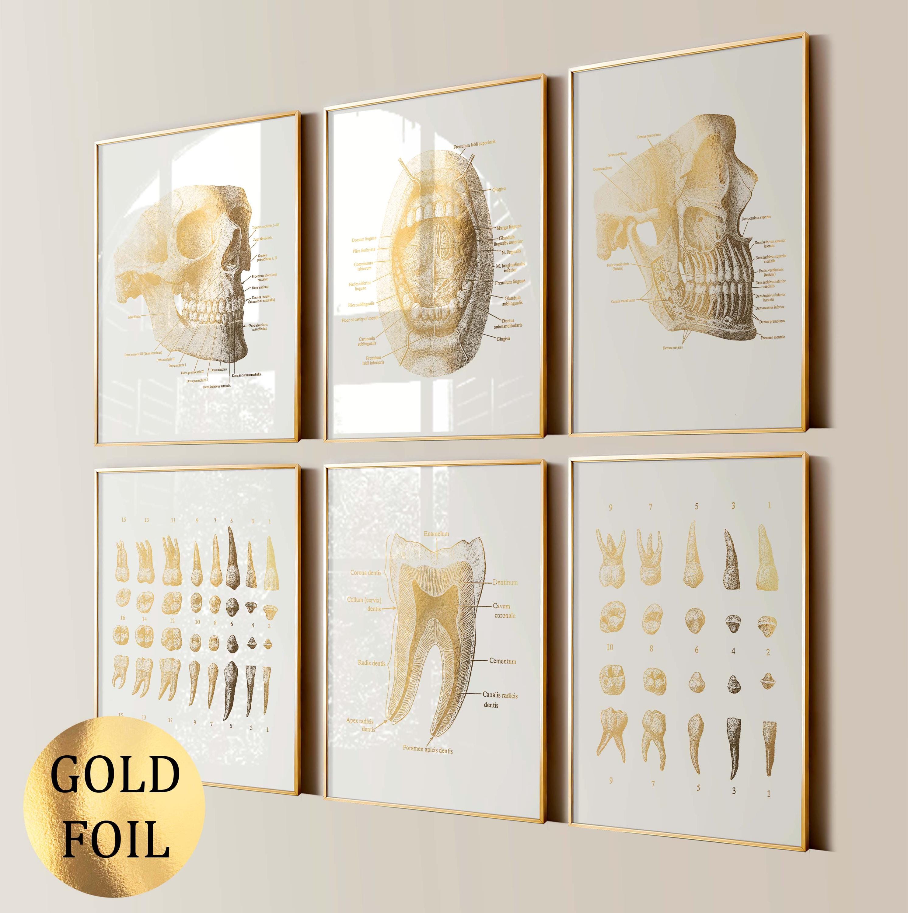 il_fullxfull.7279827082_5sqv.jpg