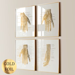 Set 4 Hand Anatomy Posters Palm Muscles Diagram Wrist Diagram Medical Art Limb Poster Orthopedic Surgeon Gift Massage Clinic Decor Gold Foil
