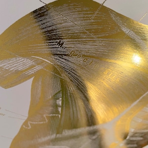 May include: A close-up of a gold anatomical illustration of a human shoulder, showing the muscles and tendons. The text "M. Pectoralis" is visible in the image.