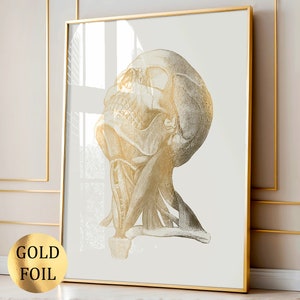 Gold Skull Anatomy Art Skeleton Poster Medical Art Orthopedic Surgeon Gift Doctor Graduation Gift, Scientist Gift Gold Foil Print