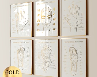 Set 6 Reflexologie Grafiek Massage Therapie Kunst Medische Kunst Hand Voet Gezicht Oor Reflexologie Punten Massage Kliniek Decor Goudfolie Print