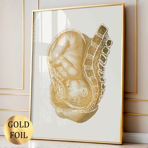 Prezent dla położnej, Anatomia dziecka w macicy, Złota sztuka płodu, Sztuka ciąży, Fizjologia kobiety, Rozwój płodu, Prezent na baby shower, Ciąża