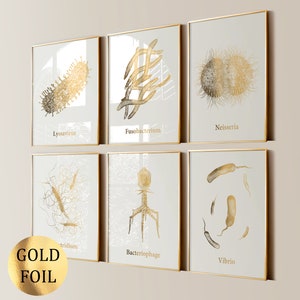 6 Bacteria Art Microbe Poster Microbiology Art Science Art Microorganism Art Biologist Gift Laboratory Wall Art Gold Foil Print