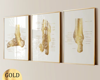 3 pósteres dorados de anatomía del pie, diagrama de los huesos del pie, impresión en lámina dorada, arte médico, regalo ortopédico, regalo para cirujano ortopédico, regalo para podólogo