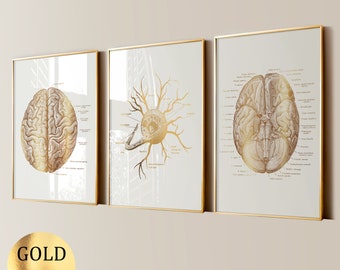 3 Brain Anatomy Art Neuron Art Neurology Art Medical Art Science Art ...