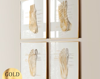 Conjunto de 4 carteles de anatomía del pie, diagrama del pie, anatomía ortopédica, arte médico, impresión en lámina dorada, anatomía de las extremidades, regalo para cirujano ortopédico, regalo para podólogo.